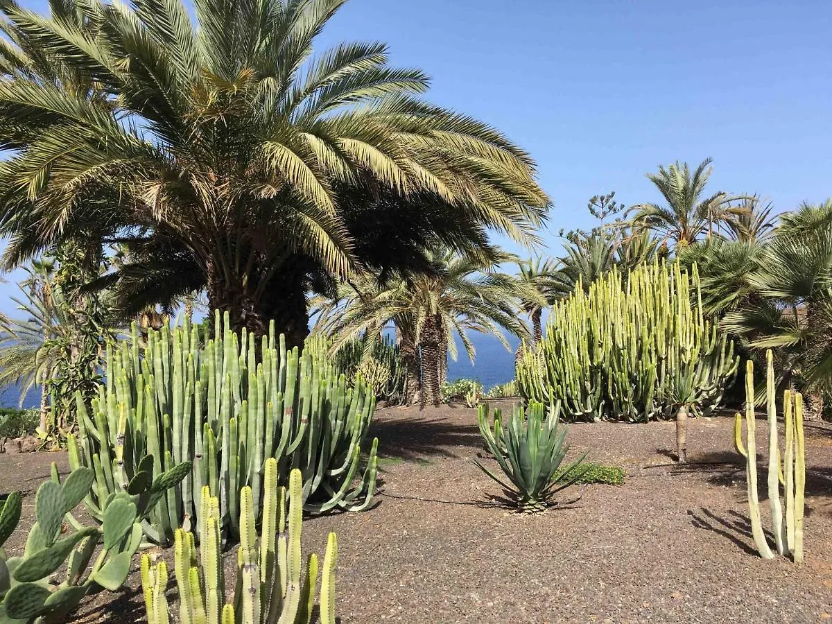 Residence Pierre & Vacances Marazul Del Sur contacts